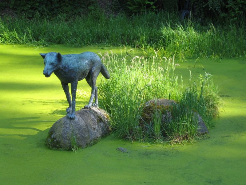 Wolfsbrunnen-Anlage