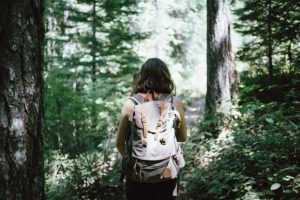 Gruppen-Naturcoaching bei Heidelberg bringt Präsenz und Resonanz